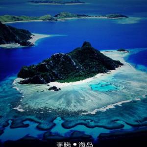 逃离马儿森林